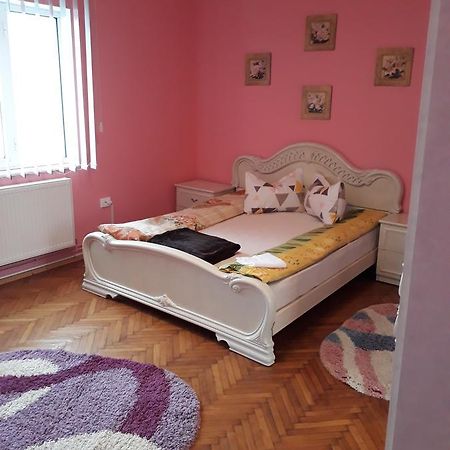 Ferienwohnung Casa Ade Călimăneşti Exterior foto